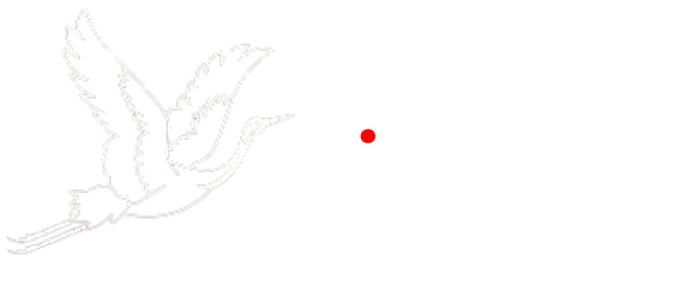 Nippon Journeys Logo